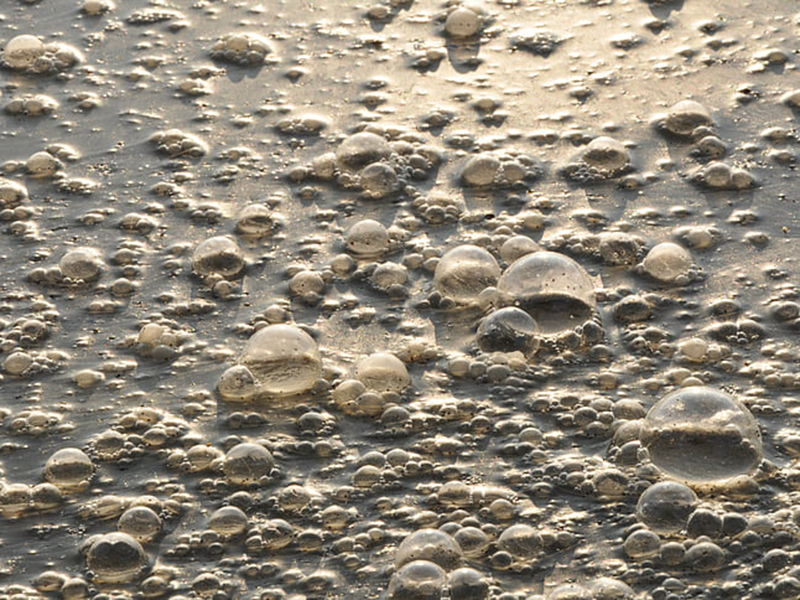 檢測工業(yè)污水可以用在線氨氮檢測儀嗎？
