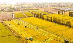 蔬菜農(nóng)藥殘留檢測儀怎么樣？