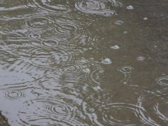 雨量監(jiān)測儀，提供雨量原始數(shù)據(jù)