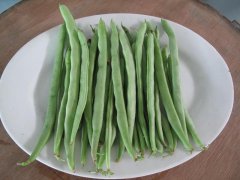 農(nóng)藥殘留檢測儀，檢測四季豆農(nóng)藥殘留含量