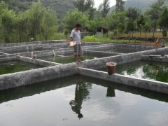 水中硫化氫檢測儀，可以為水產(chǎn)養(yǎng)殖做什么？